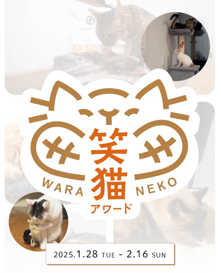 笑猫アワード